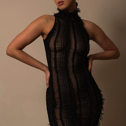 AUDREY SEE-THROUGH TURTLE NECK DRESS